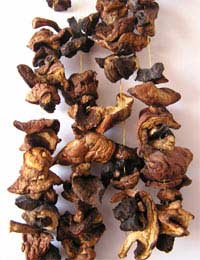 Drying Herbs Mushrooms Chillies Freezing